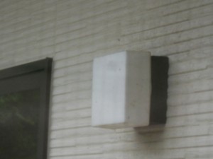 DSCN5985