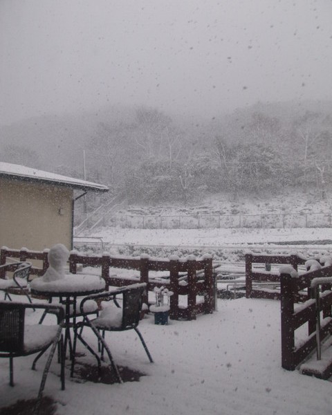 It snows at Niho.
