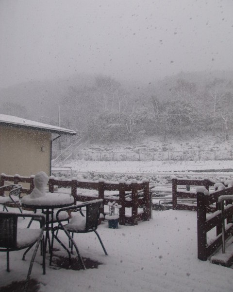 雪が降る、仁保の郷に雪が降る